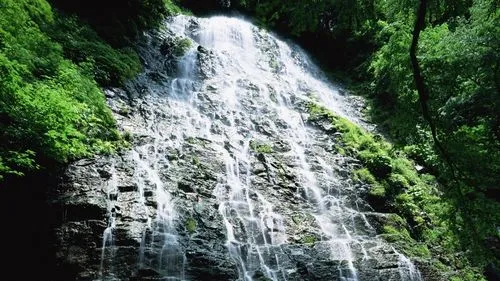 工业工业高端